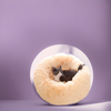 Plush Donut Bed For Your Dog or Cat